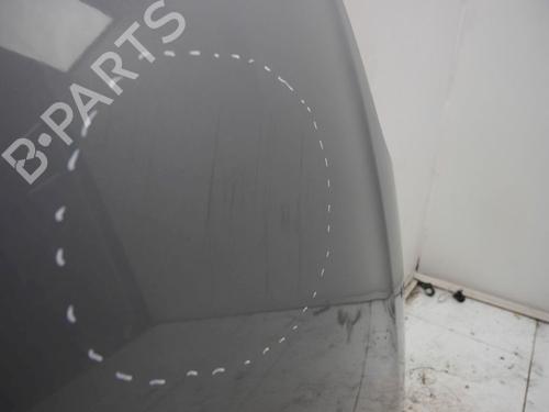 Hood FIAT GRANDE PUNTO (199_) 1.2 | BP30916780C1