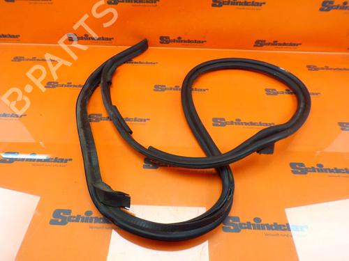 Gummiliste MINI MINI Convertible (R52) John Cooper Works (210 hp) 32830383