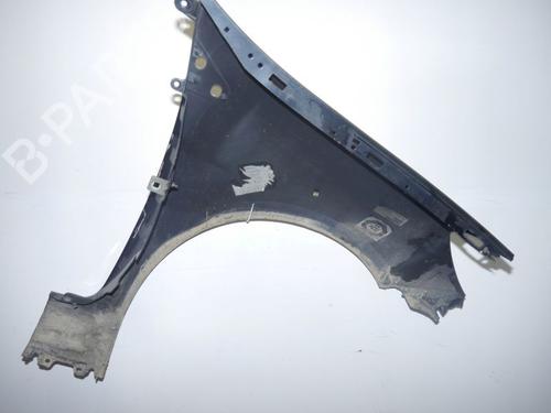 Left front fenders RENAULT CLIO III (BR0/1, CR0/1) 1.5 dCi (BR0H, CR0H, CR1S, BR1S) | BP24386529C41 