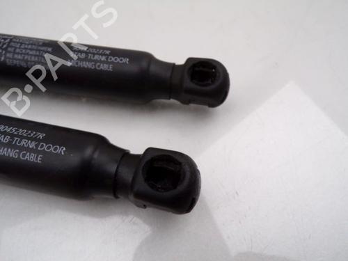 Tailgate lift support RENAULT ARKANA I (LCM_, LDN_) 1.3 TCe 140 (LDN0) | BP31865861C138