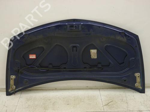 Hood RENAULT CLIO III (BR0/1, CR0/1) 1.6 16V (BR09, BR0T, CR09, CR0T) | BP29873361C1