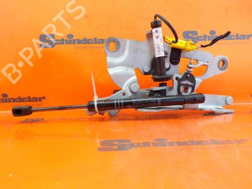 Hinge/Door check strap BMW 5 Touring (F11) 535 d | BP24393168C146