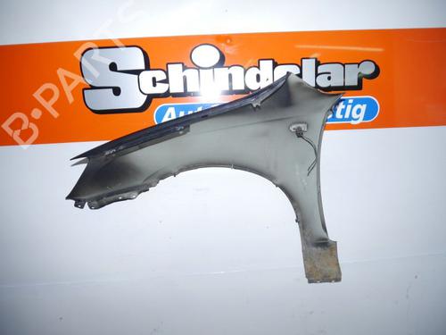Right front fenders KIA CARENS III MPV (UN) 2.0 CRDi 140 | BP24384142C42 