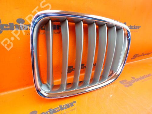 Grille BMW X1 (E84) xDrive 25 d | BP24392771C40 