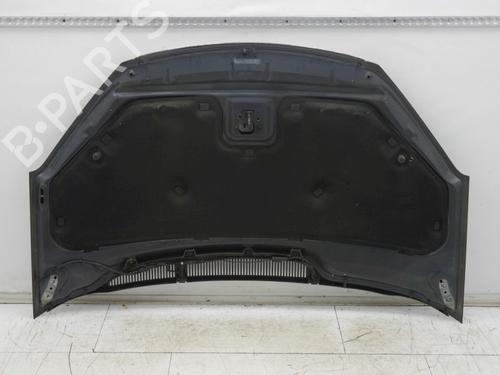 Panser FORD C-MAX (DM2) 1.6 | BP30047433C1