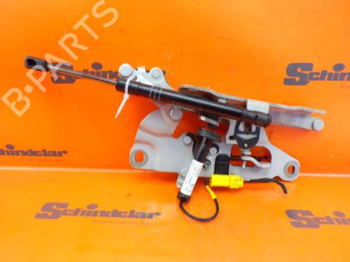 Used Hinge/Door check strap BMW 5 Touring (F11) 535 d (313 hp) 24393167