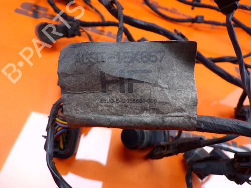 Electronic module FORD S-MAX (WA6) 2.2 TDCi | BP24390186M83