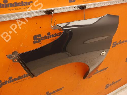 Left front fenders PEUGEOT 206+ (2L_, 2M_) 1.4 i (2LKFWA, 2MKFWA) | BP27551694C41 