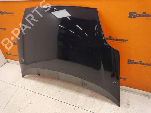 Hood FIAT PUNTO EVO (199_) 1.2 | BP29494945C1 