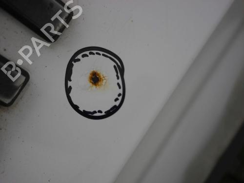 Left tailgate FORD TRANSIT CONNECT (P65_, P70_, P80_) 1.8 Di | BP29873315C76