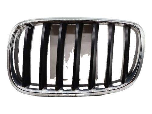 grille-bmw-x5-e70-2006-2007-2008-2009-2010-2011-2012-2013-38001475 main image
