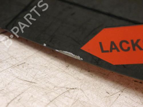 Tailgate RENAULT ZOE (BFM_) ZOE | BP28711061C6