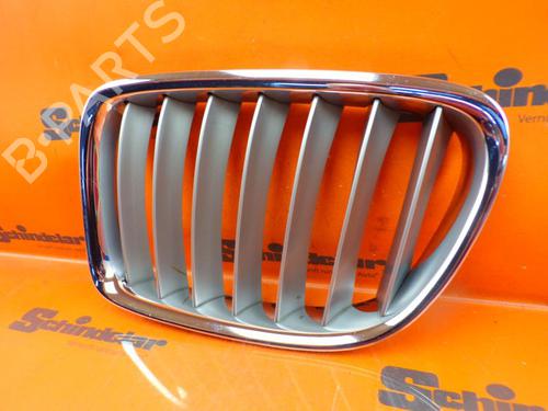 Grille BMW X1 (E84) xDrive 25 d | BP24392771C40 