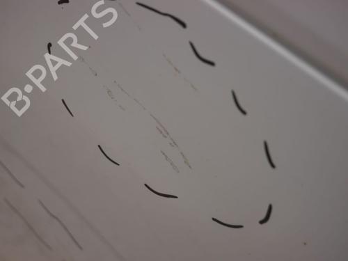 Left front door SMART FORTWO Coupe (451) 1.0 (451.331, 451.380) | BP27551619C2 