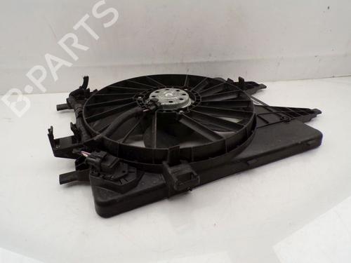 Fan RENAULT KANGOO Express (FW0/1_) Z.E. (FW0Z, FW1Z) | BP30185032M128 