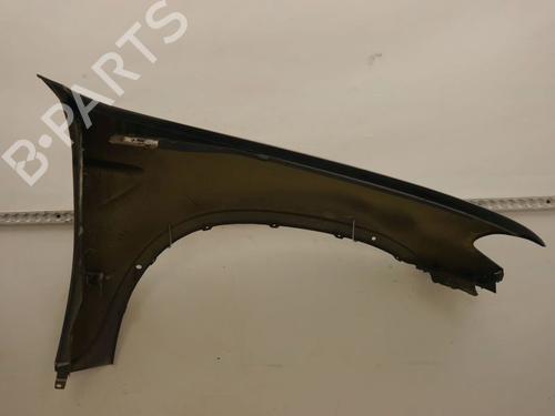 Left front fenders BMW X5 (E53) 3.0 d | BP29873377C41
