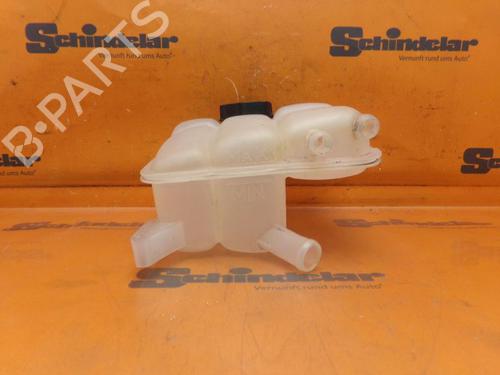 Used Expansion tank FORD C-MAX II (DXA/CB7, DXA/CEU) 1.6 EcoBoost (150 hp) 25017025