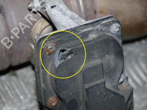 Catalyst AUDI A5 (F53, F5P) 45 TDI quattro | BP32646909M10 - Image 6