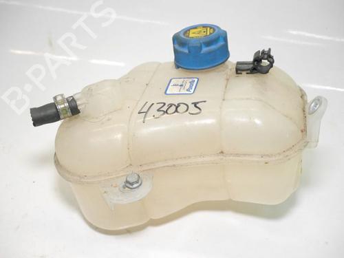 Used Expansion tank FIAT BRAVO II (198_) 1.9 D Multijet (198AXB1A) (120 hp) 24382904