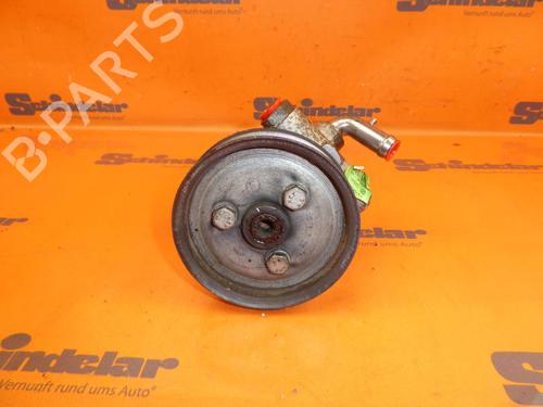 Used Steering pump FIAT QUBO (225_) 1.3 D Multijet (225AXG1A, 225CXG1A, 225AXG11, 225CXG11) (80 hp) 24391054