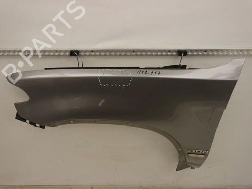 Left front fenders BMW X5 (E53) 3.0 d | BP29873377C41