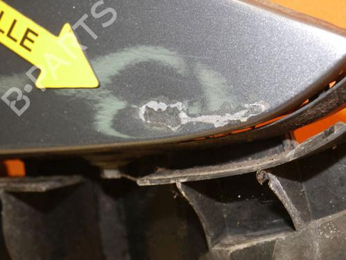 Right front fenders VOLVO V70 III (135) D5 AWD | BP24392926C42 