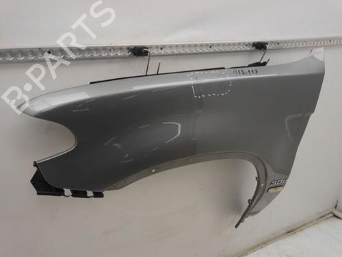 Left front fenders BMW X5 (E53) 3.0 d | BP29873377C41