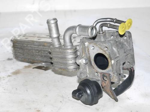 Egr VW GOLF V (1K1) 1.9 TDI | BP24386729M69 