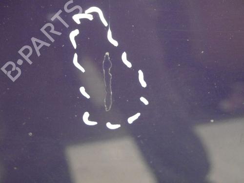 Capot VW NEW BEETLE (9C1, 1C1) 2.0 | BP30796066C1