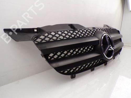 Grille MERCEDES-BENZ SPRINTER 3-t Bus (B906) 213 CDI (906.711, 906.713) | BP29873296C40