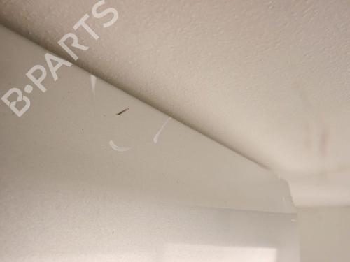 Left tailgate RENAULT TRAFIC II Van (FL) 2.5 dCi 145 (FL0J) | BP32267901C76