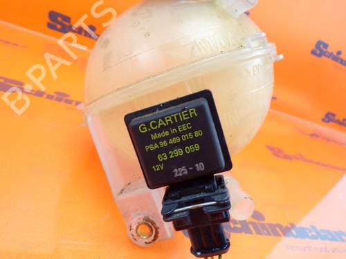 Expansion tank PEUGEOT 3008 I MPV (0U_) 1.6 THP | BP24390183C120 