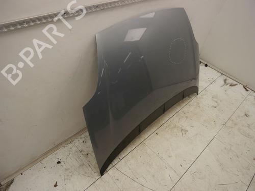 Hood FIAT GRANDE PUNTO (199_) 1.2 | BP30916780C1