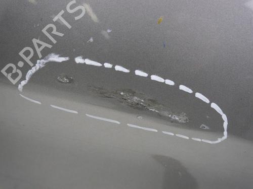 Left front door MERCEDES-BENZ B-CLASS Sports Tourer (W245) B 170 (245.232) | BP29644722C2 