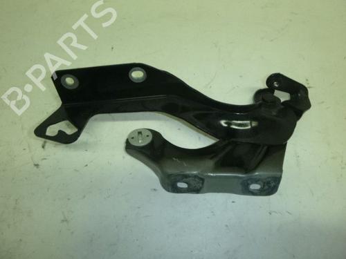 Hinge/Door check strap NISSAN MICRA IV (K13K, K13KK) 1.2 | BP24386721C146