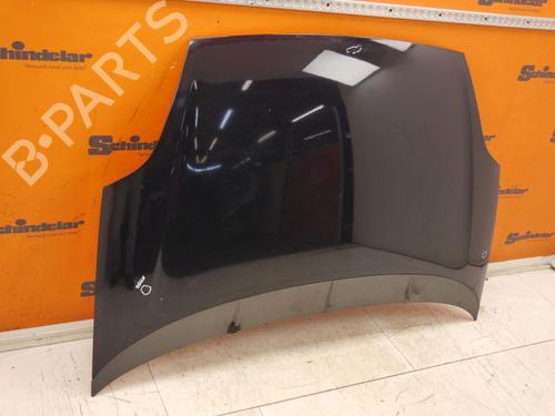 Hood FIAT PUNTO EVO (199_) 1.2 | BP29494945C1 