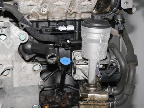 Engine VW GOLF V (1K1) 1.9 TDI 4motion | BP32652538M1  - Image 7