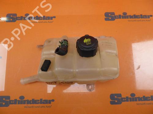 Expansion tank RENAULT ESPACE V (JR_) 1.6 dCi 160 | BP24881007C120 