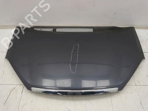 Panser FORD C-MAX (DM2) 1.6 | BP30047433C1