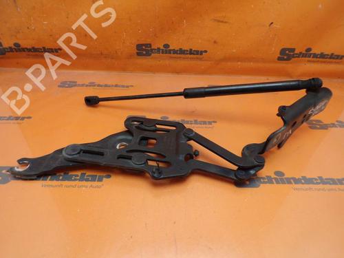 Used Hinge/Door check strap BMW X5 (E70) 3.0 sd (286 hp) 27437749