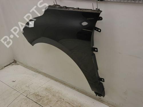 Left front fenders RENAULT GRAND SCÉNIC III (JZ0/1_) 1.5 dCi (JZ09, JZ0D, JZ10, JZ14, JZ1G, JZ29, JZ2C) | BP29515115C41 