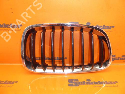 Grill BMW 1 (F20) 114 i (102 hp) 32830349