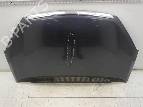 Panser FORD C-MAX (DM2) 1.6 | BP30047433C1