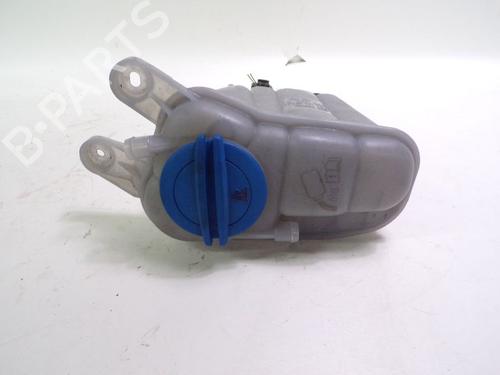 Expansion tank AUDI Q5 (8RB) 2.0 TFSI quattro | BP24389027C120 