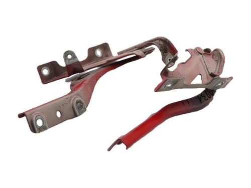 Hinge/Door check strap SUZUKI IGNIS III (MF, FF) 1.2 AllGrip (ATK412) | BP34615743C146 - Image 2