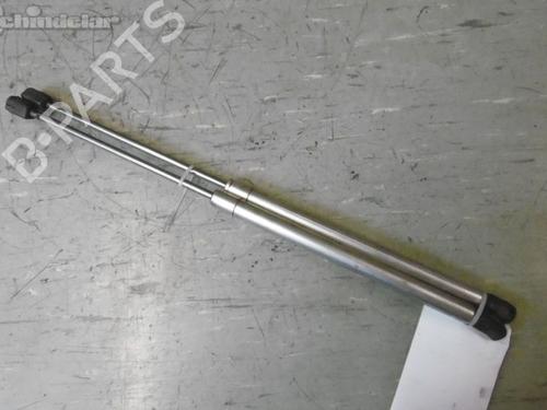 Used Tailgate lift support AUDI A2 (8Z0) 1.4 TDI (75 hp) 23507811