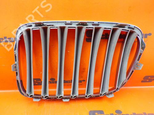 Grille BMW X1 (E84) xDrive 25 d | BP24392770C40
