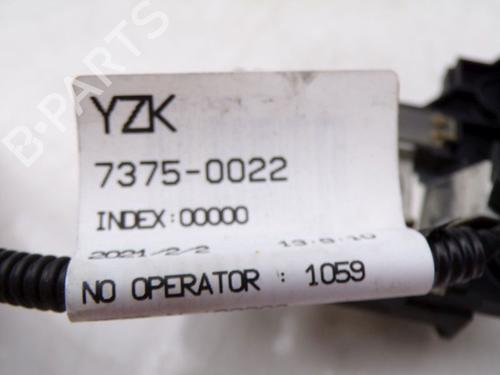 Battery RENAULT ARKANA I (LCM_, LDN_) 1.3 TCe 140 (LDN0) | BP31076996E11 