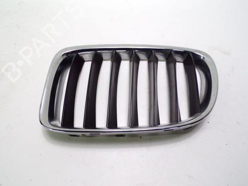 Grill BMW X1 (E84) sDrive 16 d | BP33145353C40 - Image 2