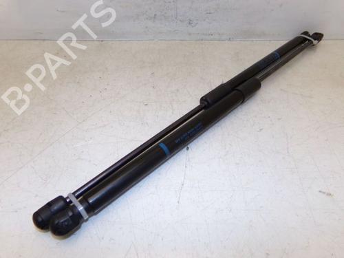 Used Tailgate lift support AUDI A6 C7 Avant (4G5, 4GD) 2.0 TDI quattro (190 hp) 32839825